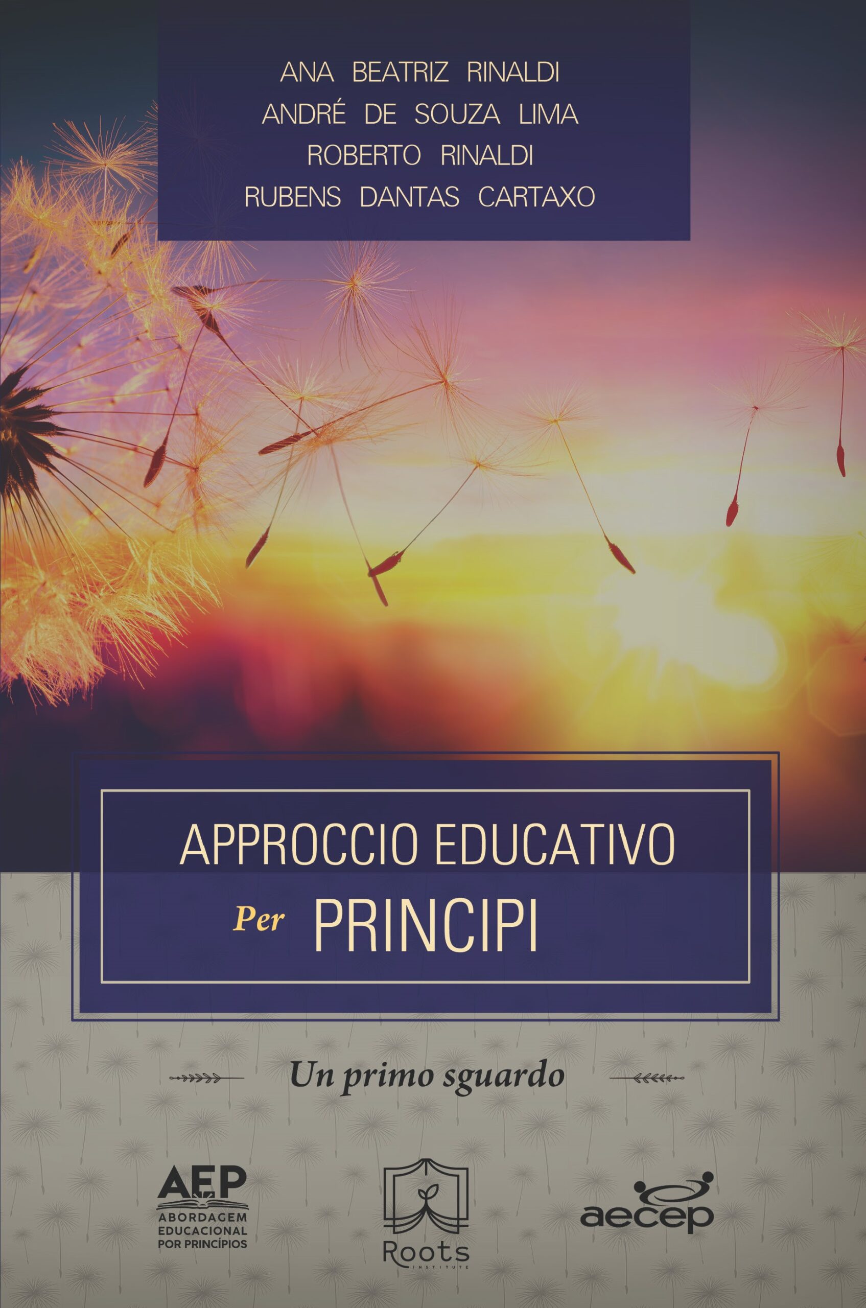 Approccio Educativo per Principi, un primo sguardo Approccio Educativo per Principi, un primo sguardo